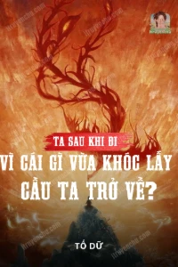 Bìa truyện Ta Sau Khi Đi, Vì Cái Gì Vừa Khóc Lấy Cầu Ta Trở Về?